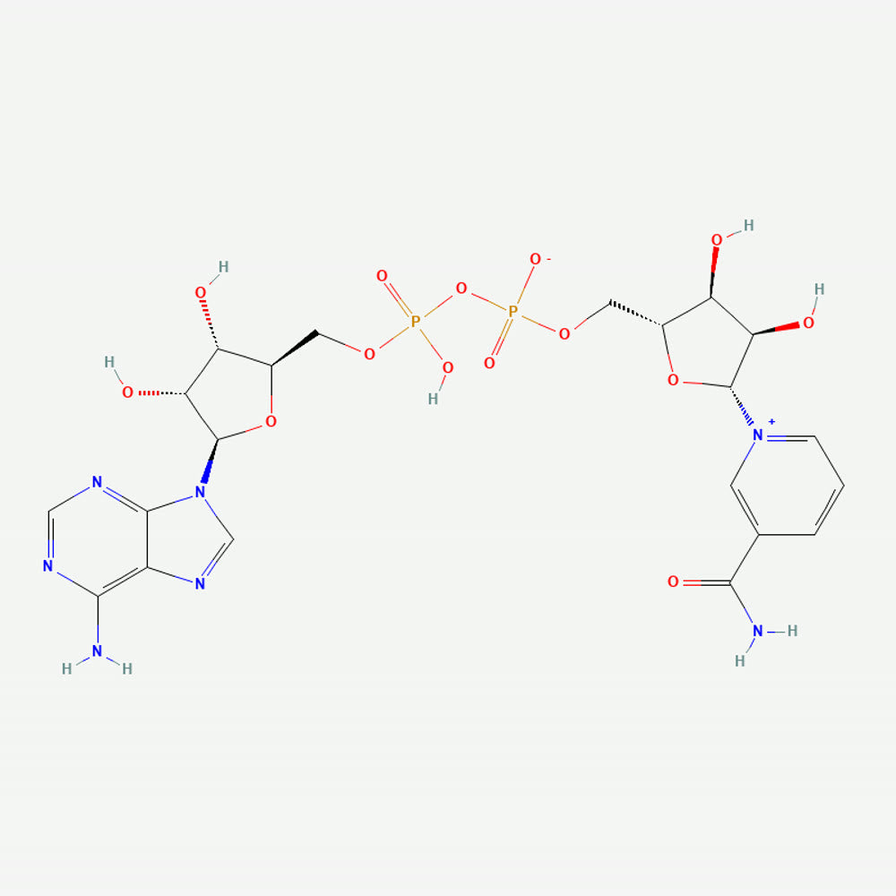 Estructura molecular de NAD+ · fuente PubChem CID 5892